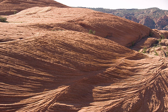 Snow Canyon UT April 20-23 2009 09