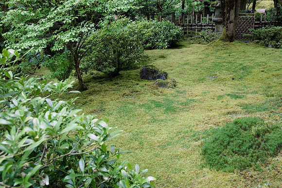 Japanese Garden - Portland - OR - May 10 2010 006