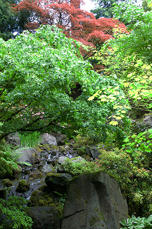 Japanese Garden - Portland - OR - May 10 2010 007