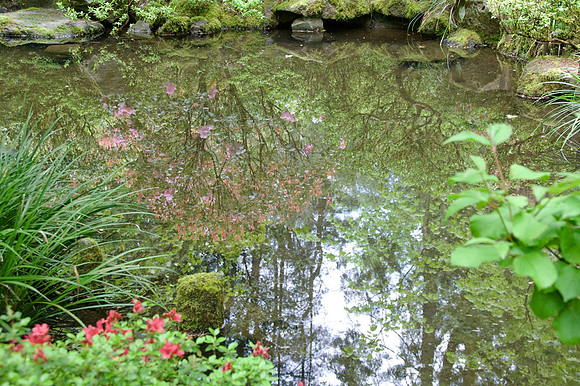 Japanese Garden - Portland - OR - May 10 2010 008