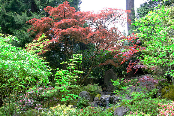 Japanese Garden - Portland - OR - May 10 2010 009