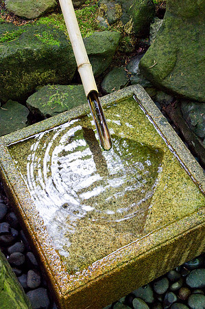Japanese Garden - Portland - OR - May 10 2010 012