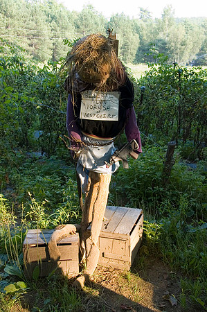Farmers' Market Near Plymouth 002