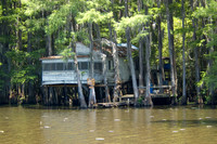 035 Caddo Lake - June 15-16 2009