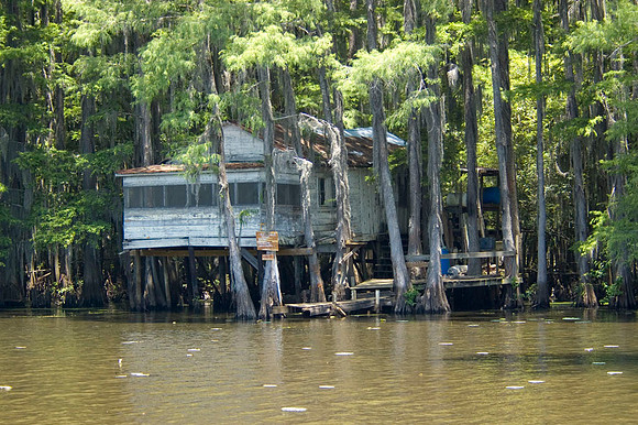 035 Caddo Lake - June 15-16 2009