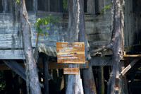 036 Caddo Lake - June 15-16 2009