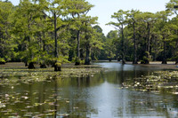 013 Caddo Lake - June 15-16 2009