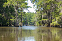 009 Caddo Lake - June 15-16 2009