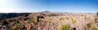 West Texas