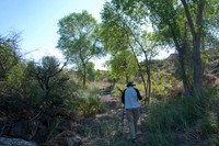 048 Big Bend Ranch State Park - Oct 24-27 2011 161