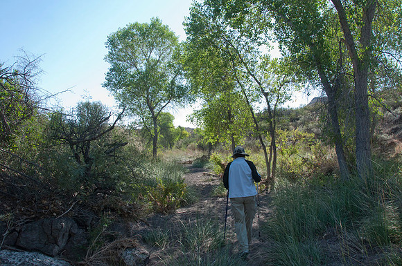 048 Big Bend Ranch State Park - Oct 24-27 2011 161