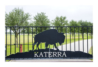 Katerra Bison Farm - Nov 16 2015 002
