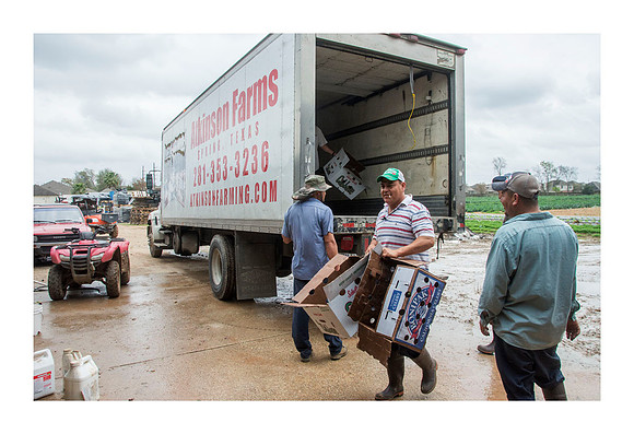 Atkinson Farms - Mar 4 2015 068