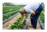Atkinson Farms - Mar 4 2015 082