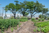 Finca Tres Robles - May 4 2016 022