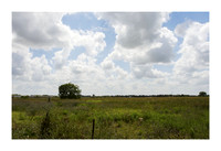 Harrison Hog Farm