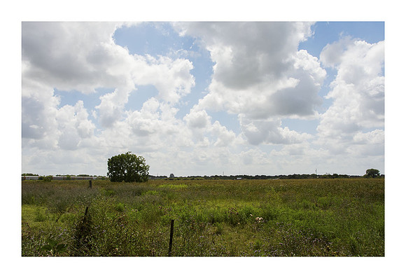 Harrison Hog Farm - July 21 2015 100