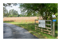Renaissance Chicken Farm - Apr 7 2015 064a