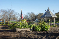 Last Organic Outpost - Jan 30 2016 005
