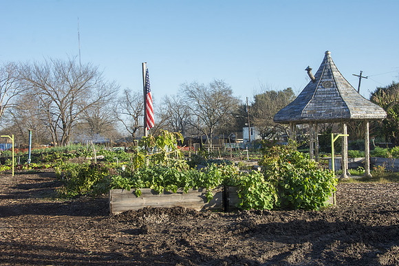 Last Organic Outpost - Jan 30 2016 005