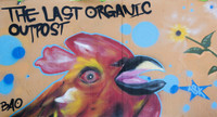 Last Organic Outpost - Jan 30 2016 068a