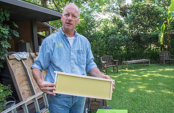 Mark Anderson - Beekeeper - June 4 2015 001
