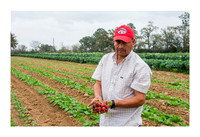 Atkinson Farms - Mar 4 2015 051