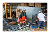 Atkinson Farms - Mar 4 2015 061