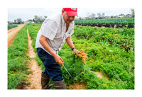 Atkinson Farms - Mar 4 2015 037
