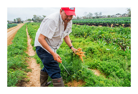 Atkinson Farms - Mar 4 2015 037