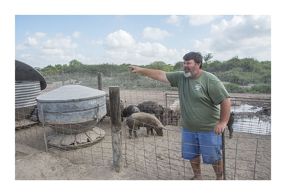Harrison Hog Farm - July 21 2015 007