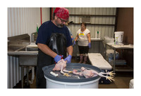 Tejas Heritage Farm favorites - May 12 2015 022