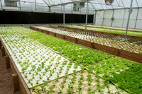 Sustainable Harvesters - Nov 2 2015 049
