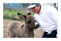 Hibiscus Hill Farm - March 3 2015 013