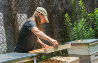 Shelley Rice - Beekeeper - May 23 2015 056