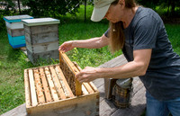 Shelley Rice - Beekeeper - May 23 2015 051