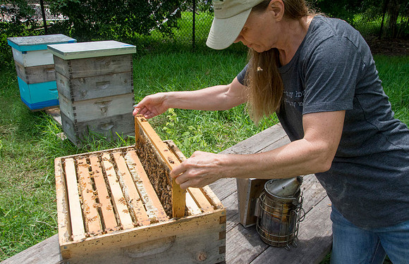 Shelley Rice - Beekeeper - May 23 2015 051