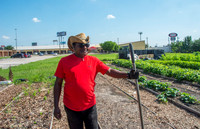 Plant It Forward - Guy - June 2 2015 035
