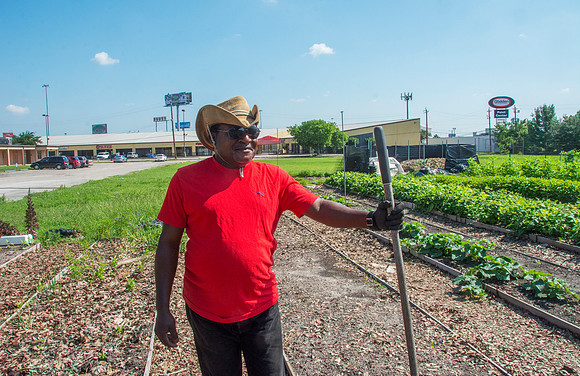 Plant It Forward - Guy - June 2 2015 035