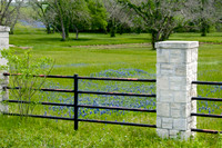 011 TX Wildflowers & Hill Country April 9-12 2010 009