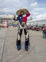 Houston Rodeo BBQ Cookoff - Feb 2018