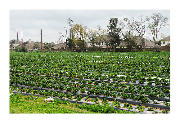 Atkinson Farms - Mar 4 2015 001