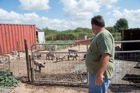 Harrison Hog Farm - July 21 2015 069