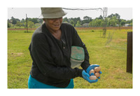 Renaissance Chicken Farm - Apr 7 2015 036a