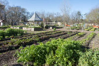Last Organic Outpost - Jan 30 2016 057