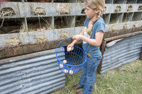 Yonder Way Farm - March 29 2016 121_1