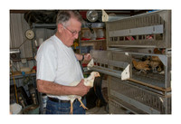 Renaissance Chicken Farm - Apr 7 2015 043a