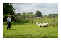 Renaissance Chicken Farm - Apr 7 2015 024a
