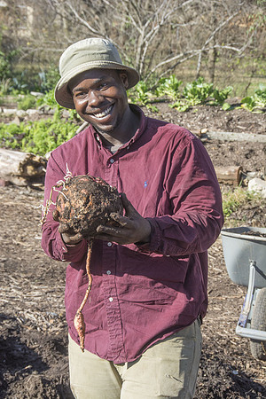 Last Organic Outpost - Adam with sweet potato - Jan 30 2016 066