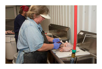 Tejas Heritage Farm favorites - May 12 2015 028